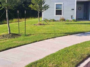 Ian E.'s turf maintenance service result