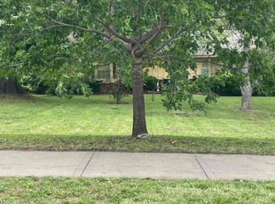 Garry F.'s turf care service result