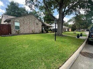 Tom C.'s yard care service result