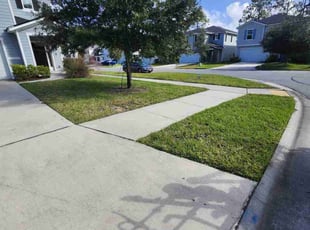 Janice T.'s turf maintenance service result