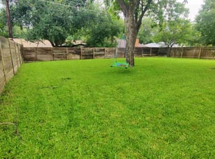 Theresa R.'s yard service service result