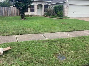 Rachelle A.'s turf care service result