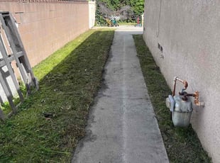 Kirsten R.'s turf maintenance service result