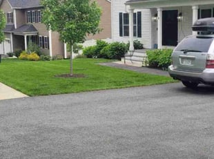 Landon T.'s grass cutting service result