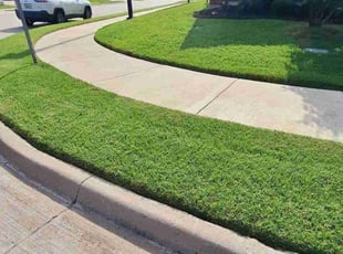 Shellram C.'s turf maintenance service result