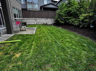 Genifer H.'s grass maintenance service result