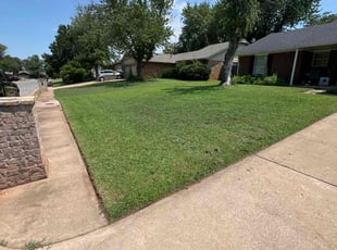 Nina L.'s turf maintenance service result