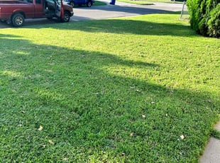 Johanna P.'s lawn care services service result