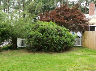 Moses W.'s Bush Trimming service result