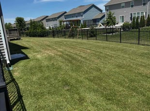 Crystal A.'s lawn care services service result