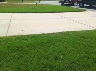 Nigel M.'s lawn service service result