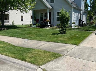 Damon L.'s lawn maintenance service result