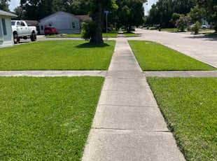 Joseph T.'s lawn care service result