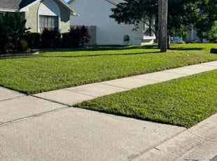 Joyce B.'s lawn care services service result