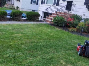 Greg G.'s lawn service service result