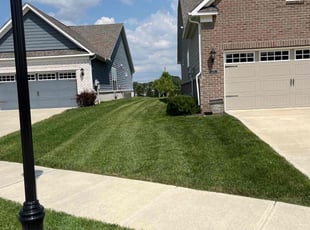 Mike G.'s lawn service service result