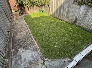 Alexander G.'s grass maintenance service result