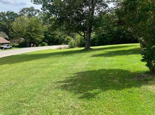 Matthew D.'s lawn care services service result