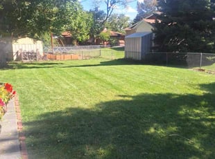 Jerry L.'s turf maintenance service result