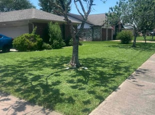 Darlene K.'s grass cutting service result