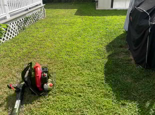 Tammy Y.'s lawn care service result
