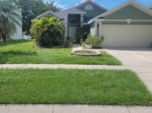 Kennedys P.'s turf maintenance service result