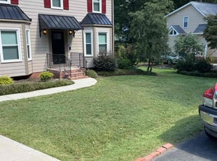 Mia M.'s grass maintenance service result