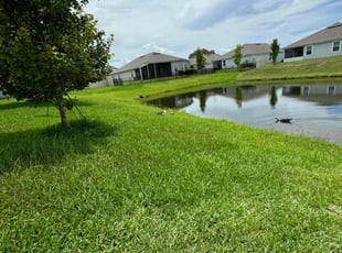 Jill M.'s grass maintenance service result