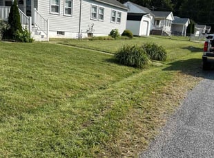 Sherry M.'s turf care service result