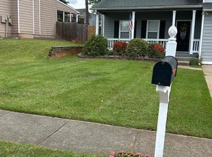 Tami R.'s turf maintenance service result