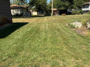 Michael G.'s turf maintenance service result