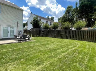 ken b.'s turf care service result