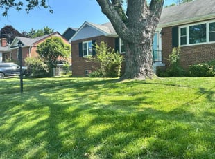 Dustin N.'s lawn care service result