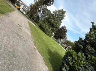 Hilleary G.'s Weed Pulling service result