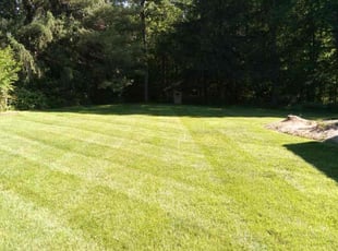 Long P.'s lawn care service result
