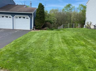 Valerie G.'s turf care service result