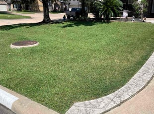 Jaye D.'s grass cutting service result