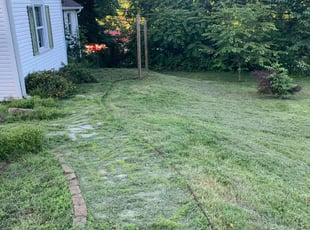 Christy S.'s lawn care services service result