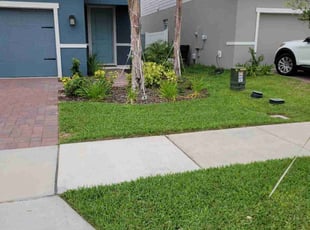 Nanette L.'s grass maintenance service result