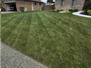 Sharlyn P.'s lawn care service result