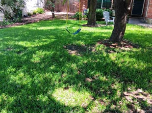 Michael W.'s lawn service service result