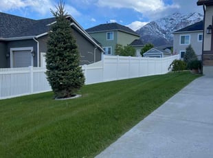 Ainsley Z.'s turf maintenance service result