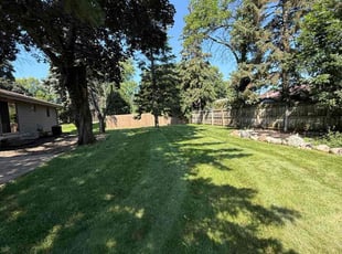 Diane B.'s lawn maintenance service result