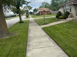 Felicia C.'s grass cutting service result