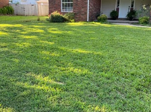 Jessika C.'s grass cutting service result