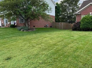 Dennis A.'s grass maintenance service result