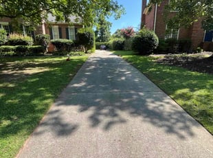 Maria R.'s lawn care services service result