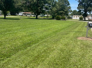 Romona C.'s lawn care service result