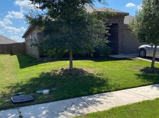 Lana T.'s lawn care services service result