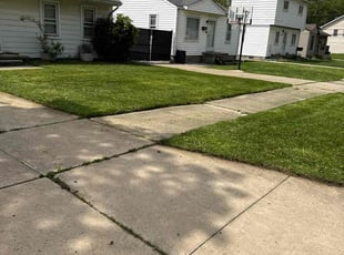 Brett S.'s lawn service service result